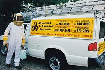 Tempe bee removal service truck and employee